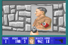 Wolfenstein 3D Screenthot 2